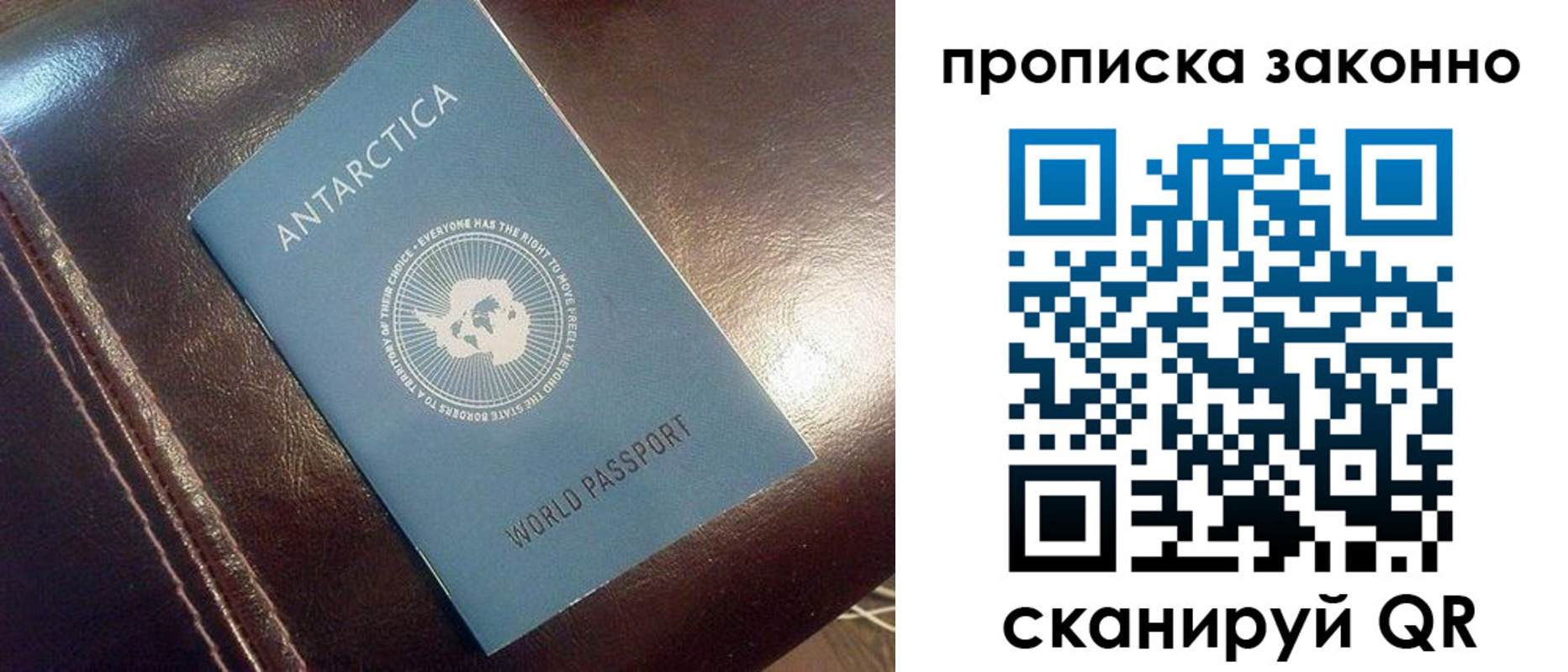 временная регистрация в Купино